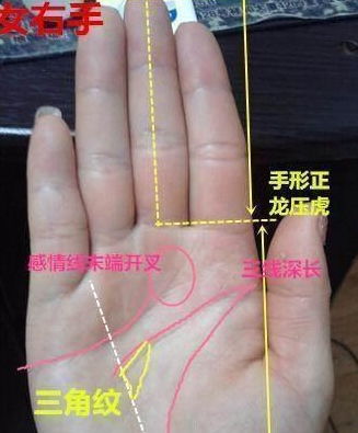 噪音插入：随机碎片式思考