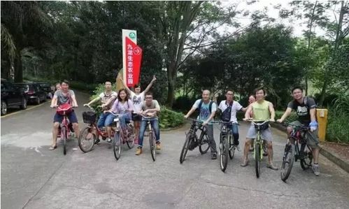 行业特点突出优势
