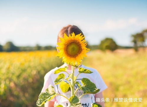 外部环境的因素
