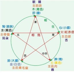 五行命数指引之地，究竟蕴藏何种神奇力量？
