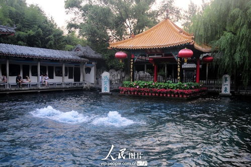 趵突泉：天下第一泉