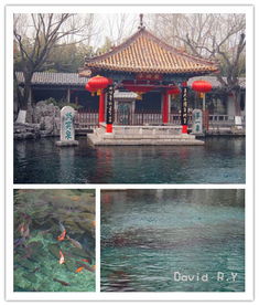 第二天：登较高望远， 领略泉城之美