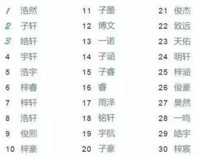 先别急着追随流行榜单——它们只会让你跟别人抢同一个名字