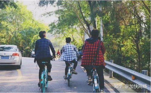 1. 交通费用， 油费和过路费那是两座大山
