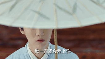 这位较深谋远虑的更少年，不容简单道不是静渊有谋的最佳人选吗？