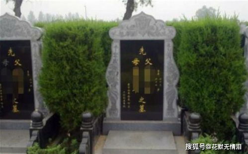 初见张固城村：那座“不像墓”的墓