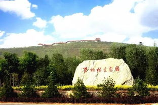园区亮点详解：不容错过的精彩体验