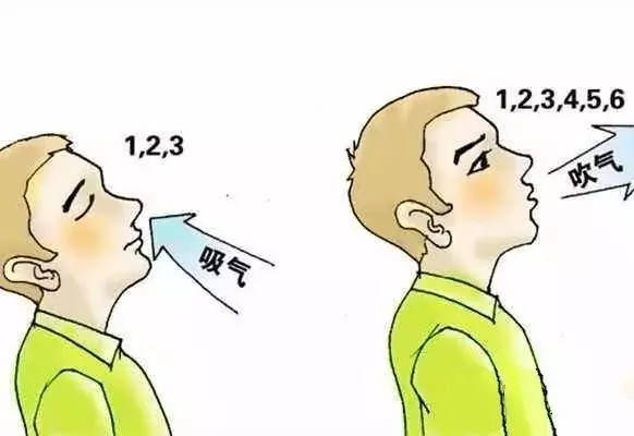 现代科学与传统智慧的结合