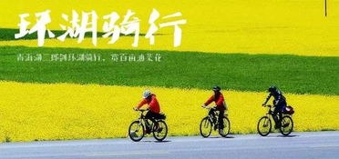 骑行技巧与注意事项（随性而为）