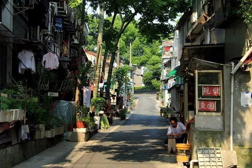 二、 馒头山社区——老城墙里的一块“软绵绵”