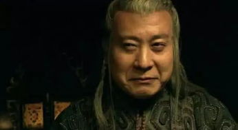 真实相的碎片 (关于赵高的阴谋论)