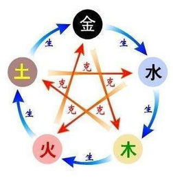 二、王姓到底是哪来的？——历史持续发展随手抄写版