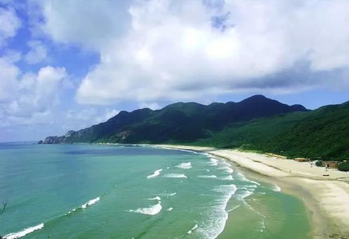 V型索桥：刺激到飞起