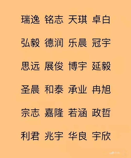 2026年夏姓男孩名字大全，有没有什么好听的推荐呢？