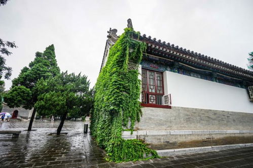 大雁塔，玄奘法师的执着
