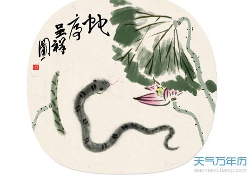 2021年属蛇运势详解中，全年运程具体如何？