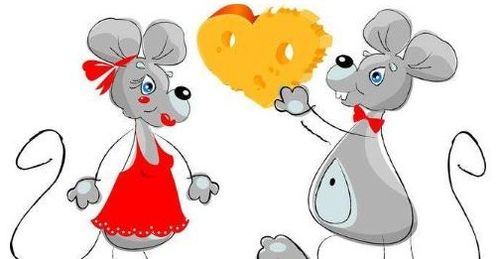 属兔老婆和属鼠老公的婚姻关系是否相冲？