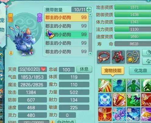 玩家怎样选择自己的游戏名字