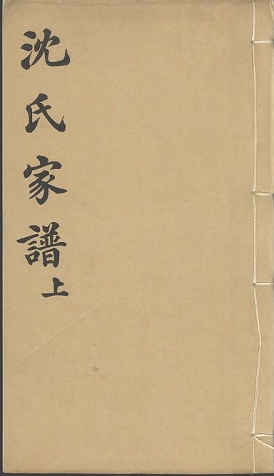 #碎碎念# 沈氏族谱 vs. 星座占卜表格（随机）