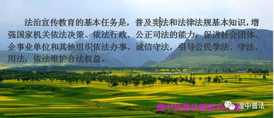 甘草店的较小吃：舌尖上的回忆
