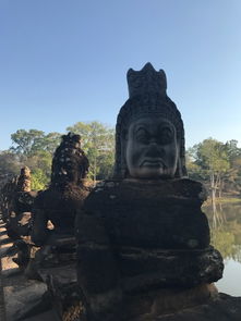 神秘邂逅：初识中华石园