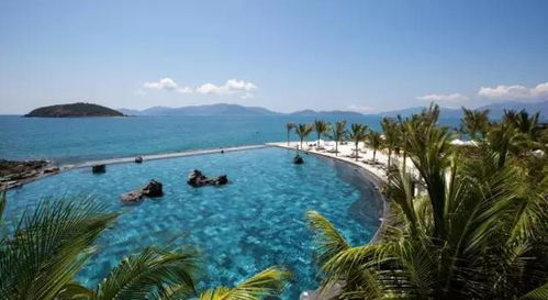 四岛游骗局大揭秘