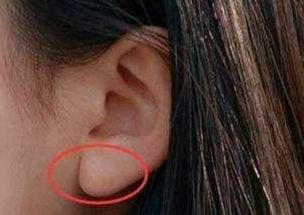 耳朵大就是招财猫？我咋不信呢！