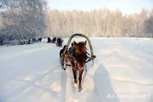 推荐路线：马拉爬犁 → 雪地摩托 → 冰湖钓鱼（别忘了带防冻手套）