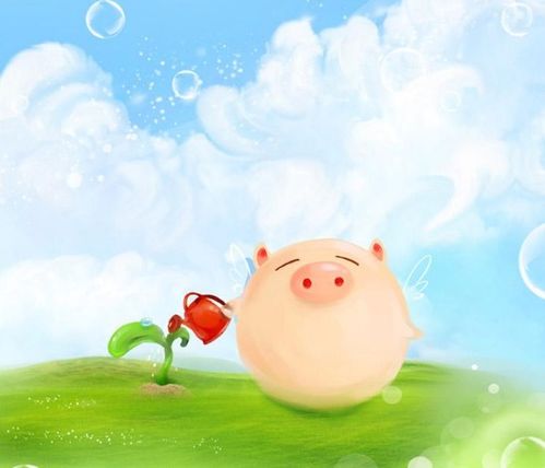 95年属猪五月出生的人婚姻结局如何？