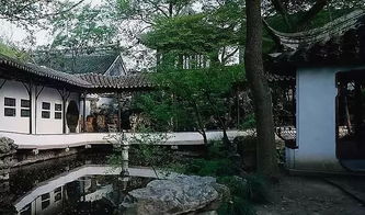 分类与代表：哪个更“有意思”？