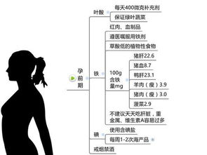 孕期不同阶段的运动量选择