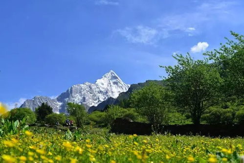 一、 神秘的二郎山，你了解多少？