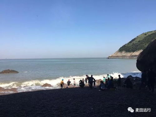 三蒜岛探险：捡到的一条龙