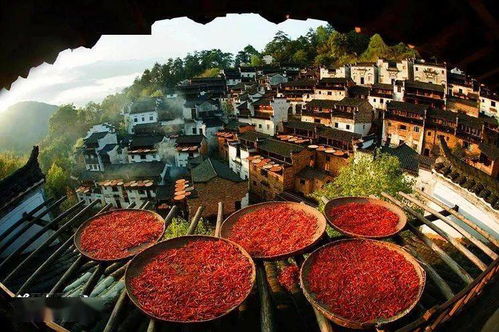 二、 深圳至婺源：一段非凡的旅程 (或着说是一场考验)