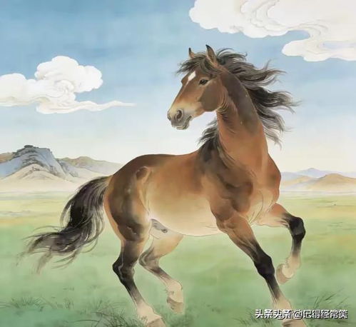 2026年属马人的财运和事业运势具体表现是怎样的？