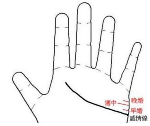 掌纹麻花线面相男孩男士手掌纹婚姻线预示婚姻如何？
