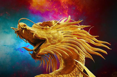 星宿与命运——属鼠与属龙的碰撞
