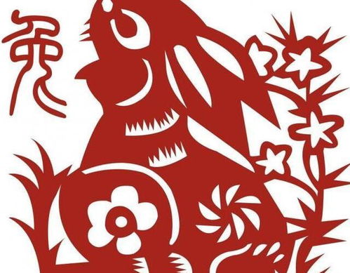 生肖兔：今天你就是个行走的倒霉蛋