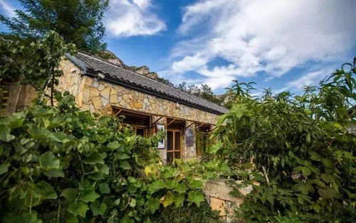 3.2 体验农家乐，品尝特色美食：舌尖上的池州