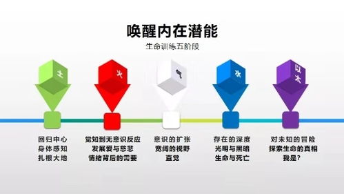 四、团伙作案教学