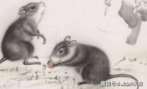 1975年属兔与属鼠的最佳事业搭档今年运势如何？