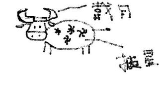 披星戴月多劳累指的是哪个生肖？披星戴月形容的是哪个生肖的特点？