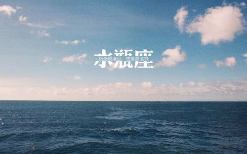 情感？那是什么可以吃吗？