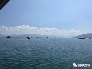 3.1 滇池早晨跑步计划（真的有人这么做吗？）