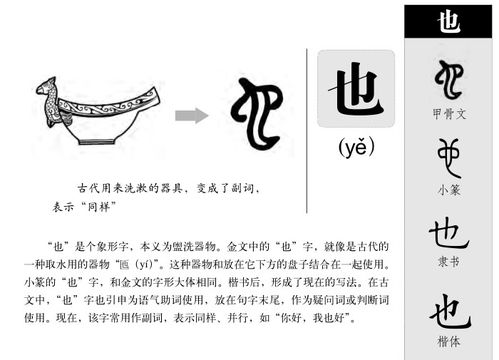 起名时的那些坑
