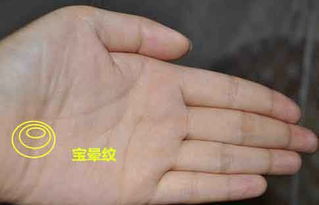 宝晕紋背后的智慧与机遇