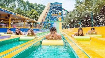 项目真相！温水才是王道