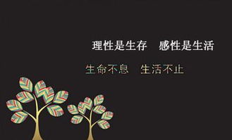 八字如何从一个人八字中看出其内心善良？