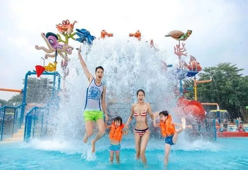 128块钱能买啥？呼兰水上乐园的快乐被说成