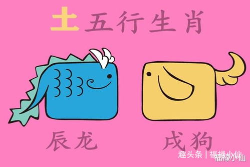 单身老年人和单身女强人分别对应哪个生肖？